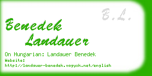 benedek landauer business card